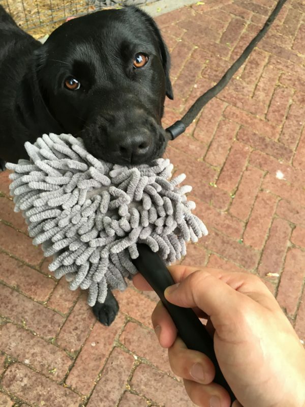 Doggy Dry Paw Cleaner