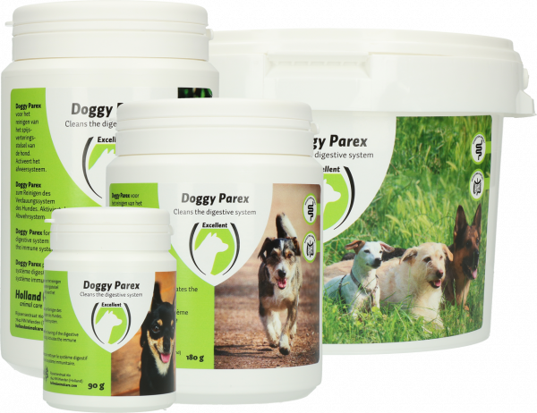 Doggy Parex Medium
