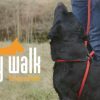 Easy Walk Handmodel Rood