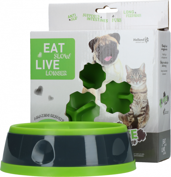 Eat Slow Live Longer Amaze Flower Green S