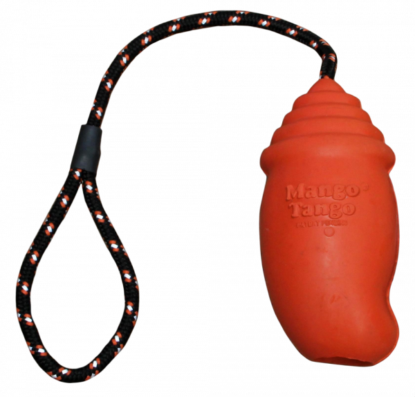 Fetch Dog Mango Tango Large 14cm