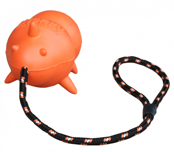 Fetch Dog Snorky Large 13,5cm