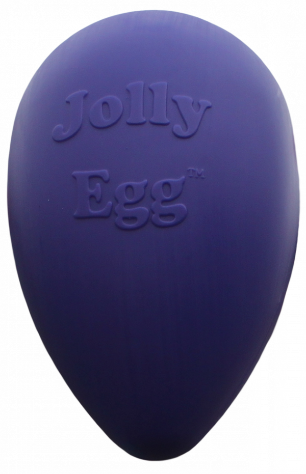 Jolly Egg 30 cm Paars