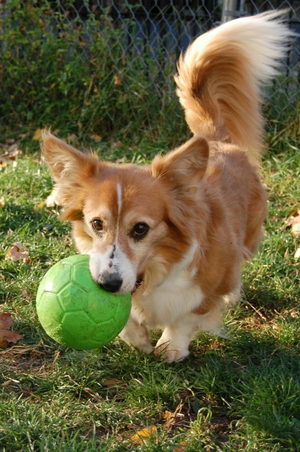 Jolly Soccer Ball 15cm Oranje