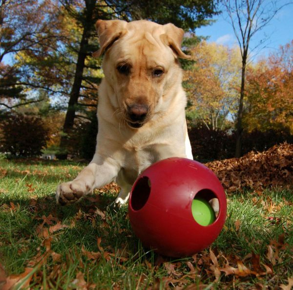 Jolly Teaser Ball 10 cm Rood