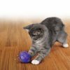 KONG Cat Treat Ball