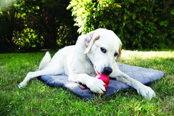 KONG Fold-up Travel mat