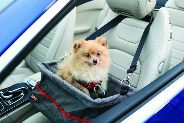 KONG Secure Booster Seat