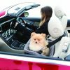 KONG Secure Booster Seat