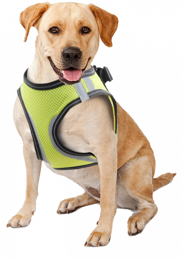 Pawise Doggy Safety Harness M A:32-37cm B:42-46cm