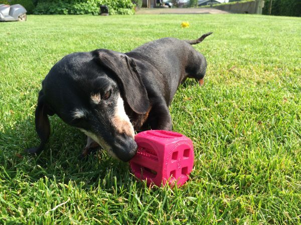 QBIT Puzzle Box Large