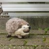 Wild Life Dog Hedgehog (Egel)