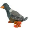 Wild Life Dog Pigeon (Duif)