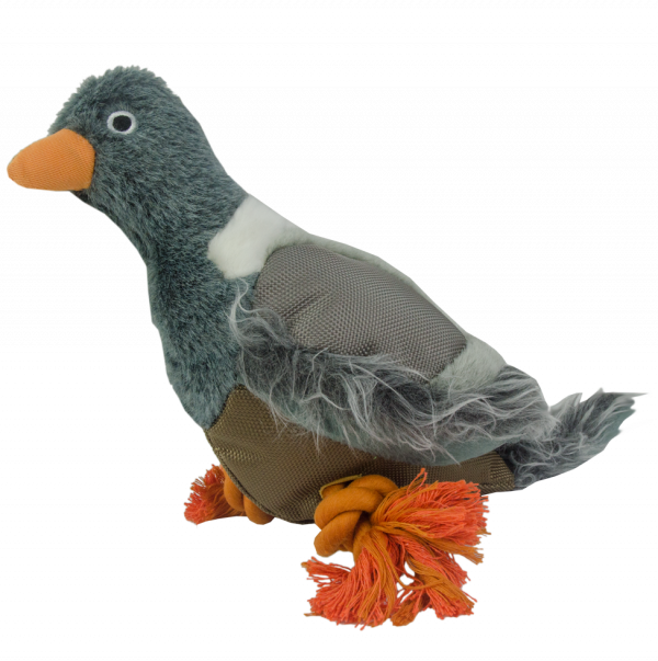 Wild Life Dog Pigeon (Duif)