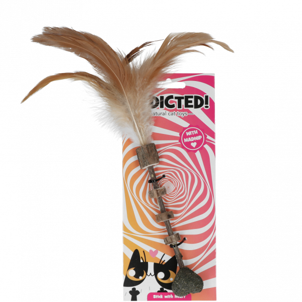 Addicted Stick with heart and feathers