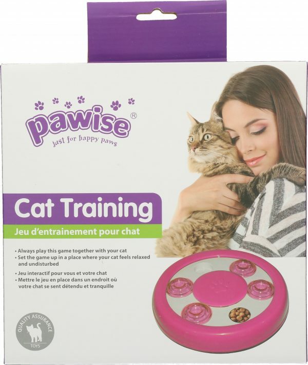 Pawise Cat Puzzle Toy