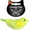 Crazy Cat Bird vol met Madnip