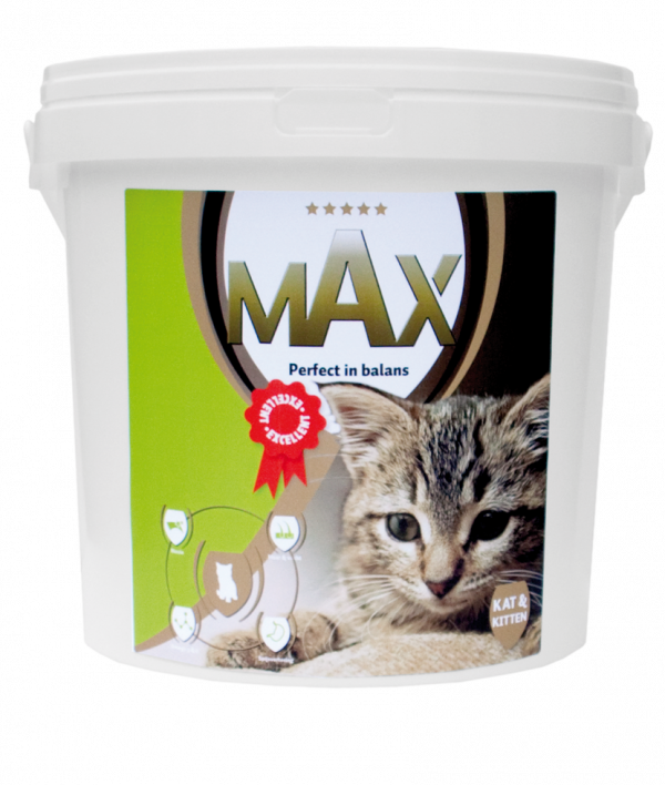 Max Kat en Kitten