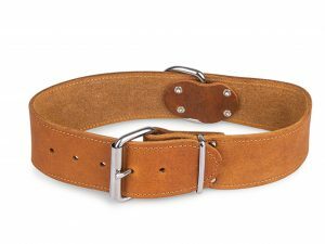 Halsband Large geolied leder cognac 75cmx50mm XXL