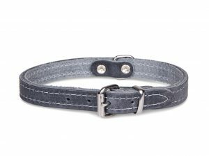 Halsband geolied leder grijs 52cmx22mm L