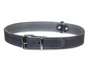 Halsband geolied leder grijs 70cmx30mm XXL