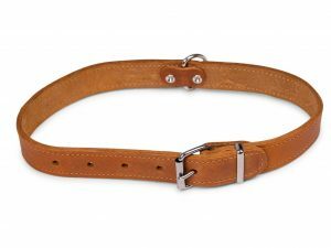 Halsband geolied leder cognac 60cmx25mm XL