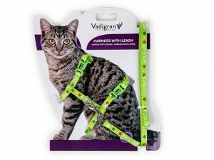 Harnas+Leiband KittyCat groen15-22/30-32cm+120cm