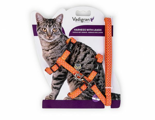 Harnas+Leiband Stippen oranje 15-22/30-32cm+120cm