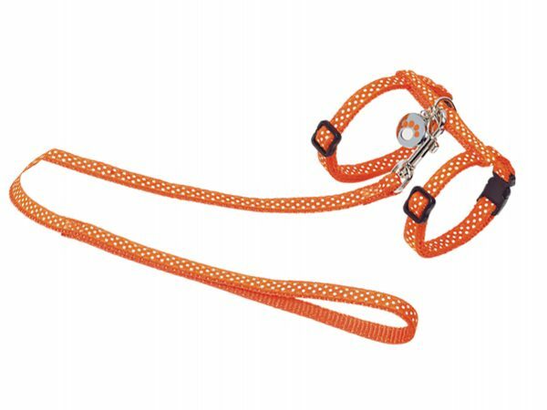 Harnas+Leiband Stippen oranje 15-22/30-32cm+120cm