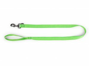 Leiband Classic Nylon groen 120cmx25mm XL