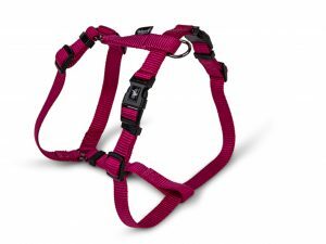 H-Harnas Classic Nylon fuchsia 20-32cmx10mm XS