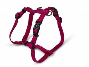 H-Harnas Classic Nylon fuchsia 40-65cmx20mm M