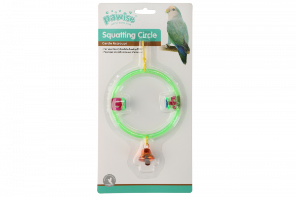 Bird Squatting circle