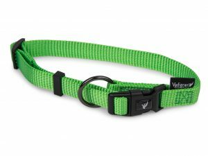 Halsband Classic Nylon groen 50-66cmx25mm XL