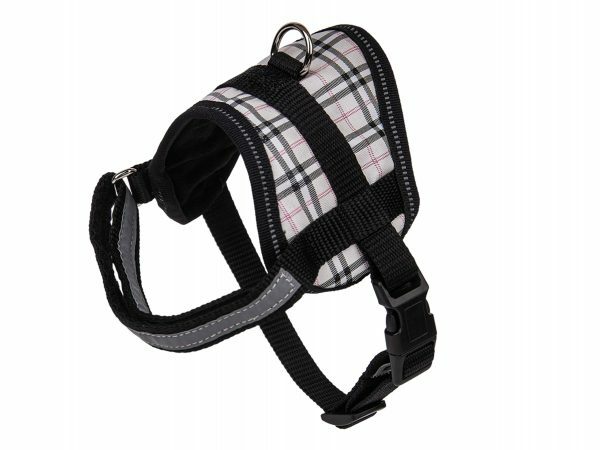 Borsttuigje hond Schot beige 40cm S