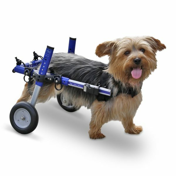 Rolstoel Dog Small Blauw 09-04, < 11 kg