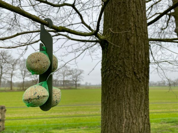 Feather World Voerstation met 4 mezen zaadbolletjes