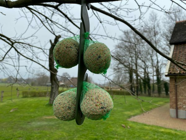 Feather World Voerstation met 4 mezen zaadbolletjes