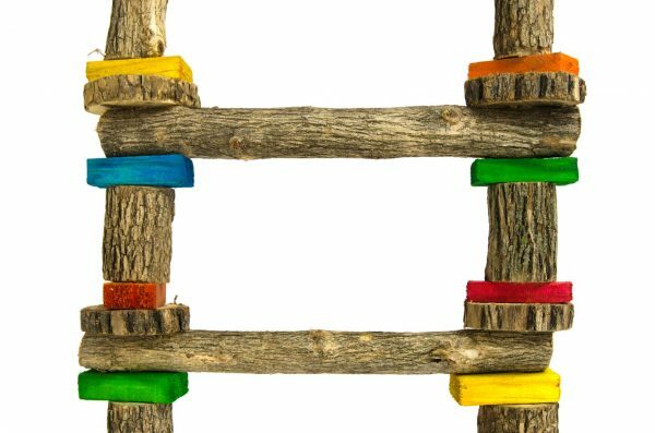 Birrdeeez Cockatiel Ladder 6 step All Wood