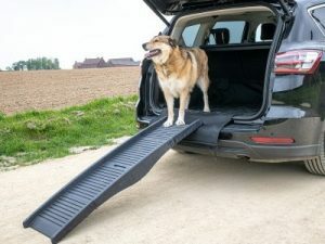 Auto loopplank