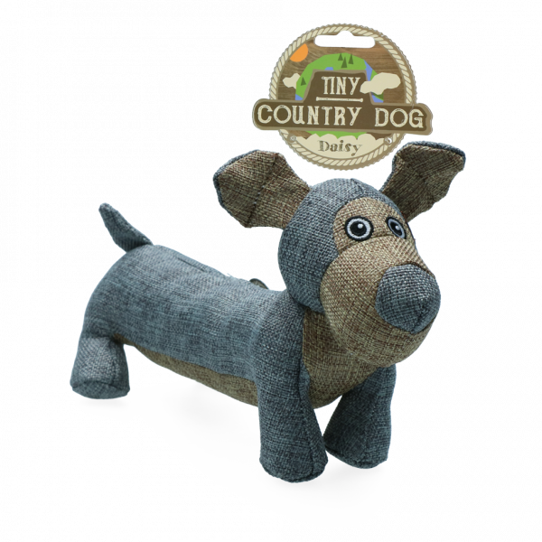 Country Dog Tiny Daisy