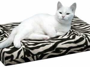 Kattenkussens