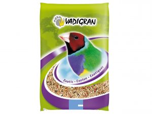 Premium Vogel