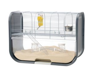 Kooi gerbil