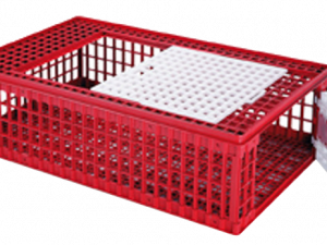 Transportbox kippen