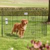 Park Dog Park2 zwart 61x91cm (8kanten)