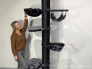 Krabpaal Maine Coon Tower Crown Blackline Dark Grey